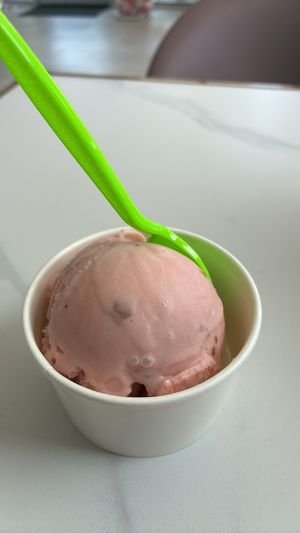 Frozen Bloom Creamery in Mid-Destin, Destin