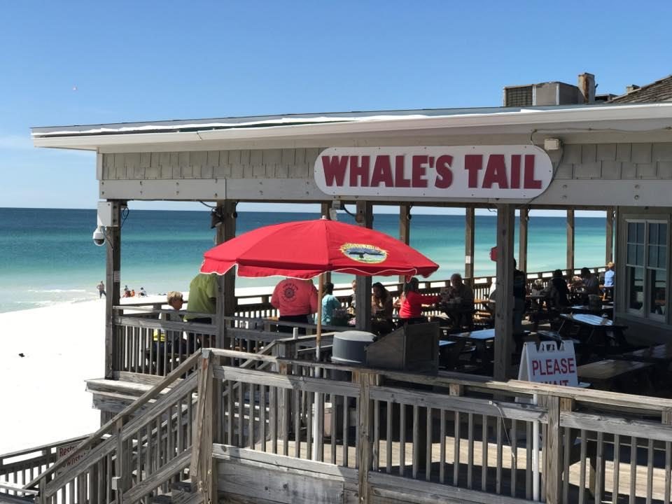 The Whale's Tail in Miramar Beach, Destin